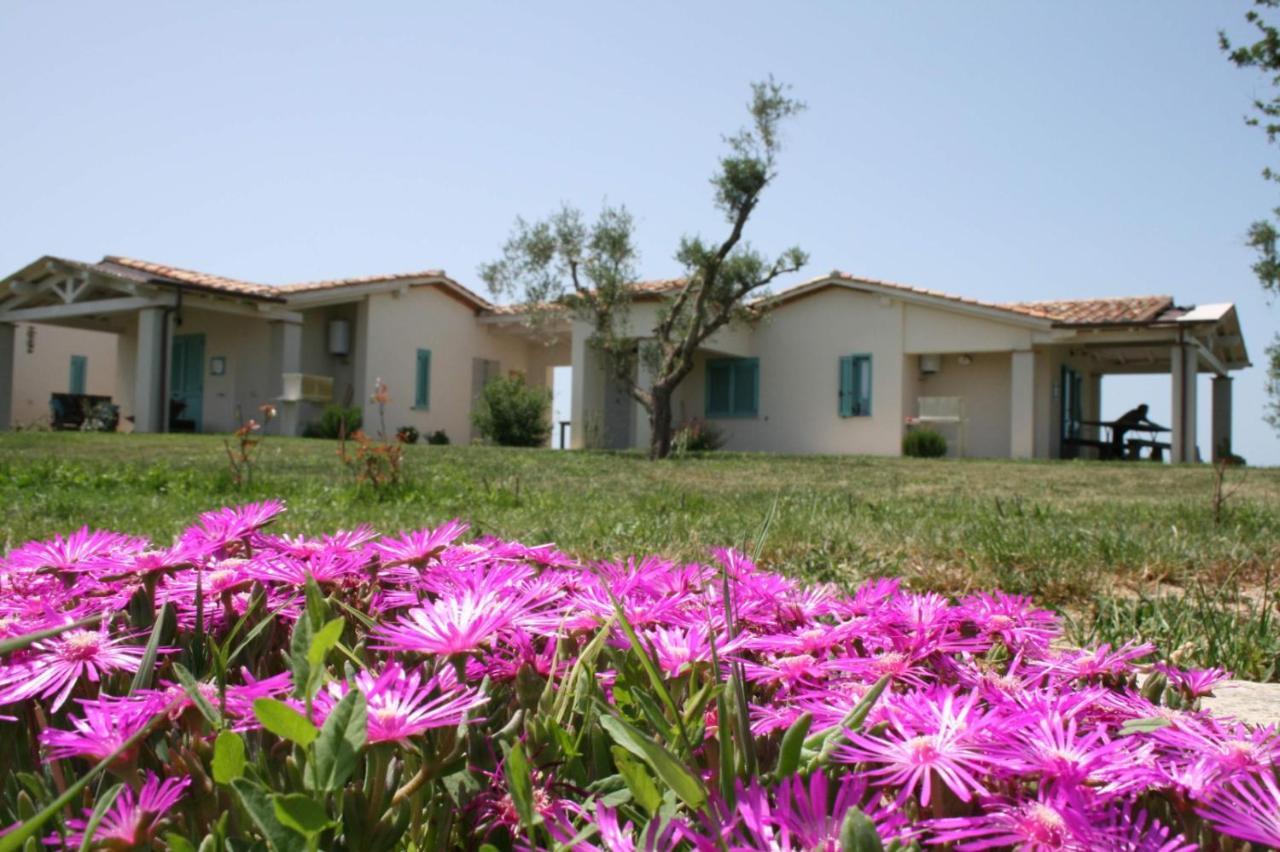 Agriturismo Podere 678 Grosseto Exterior photo